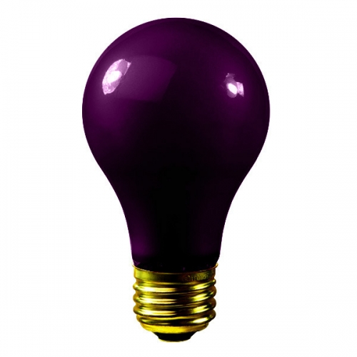 Black Light A19 Incandescent Bulb 75W