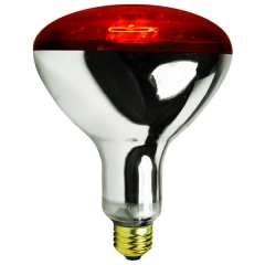 R40   Infrared  Heat  Lamp