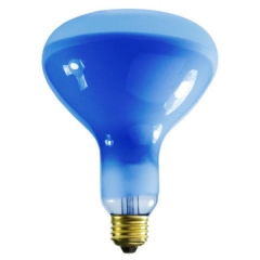 Blue Plant Light Bulb R40 / R125