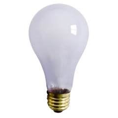 Neodymium  Light Bulb