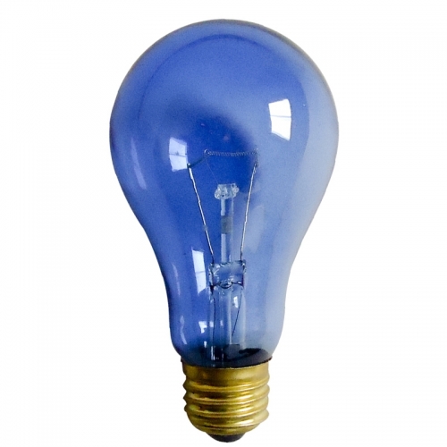 Daylight Blue heat lamp A19 75W