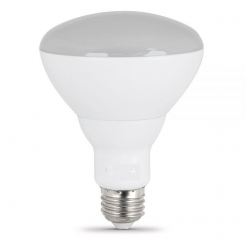 Led BR30 9W  Flood Bulb