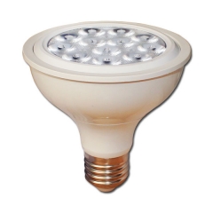 12W PAR30 LED Lamp