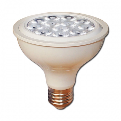 12W PAR30 LED Lamp