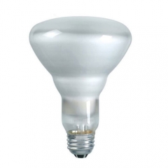 BR30 INCANDESCENT FLOOD LIGHT BULB