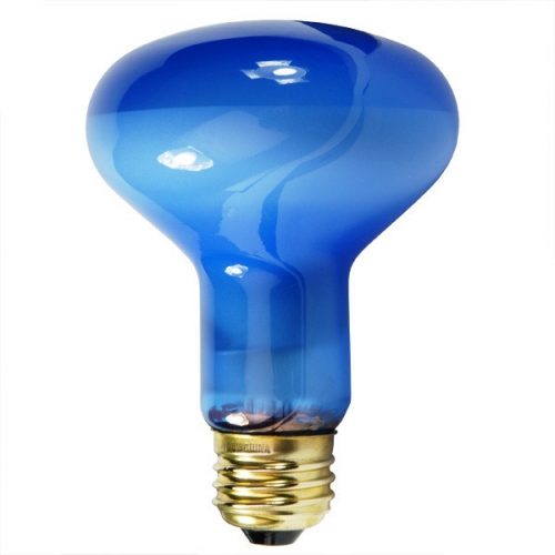 Plant Light - R25/ R80 Incandescent light Bulb