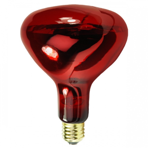 R40   Infrared  Heat  Lamp