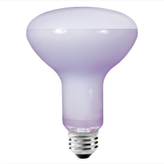 Neodymium  Light Bulb  R95