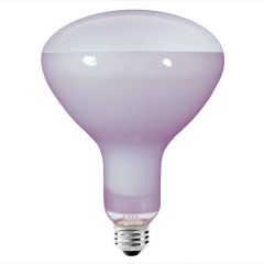 Neodymium  Light Bulb R40   R125