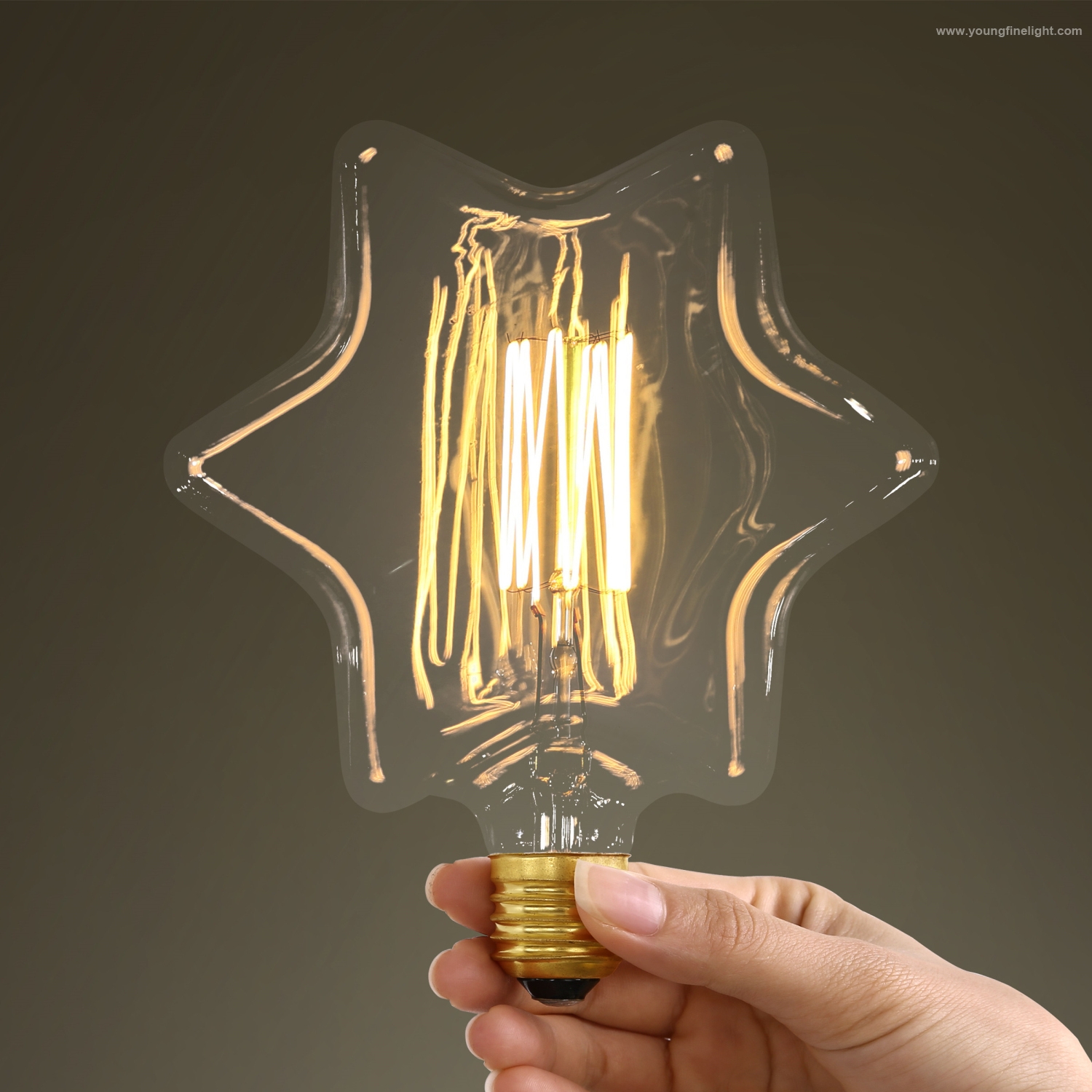 Antique style Edison bulb