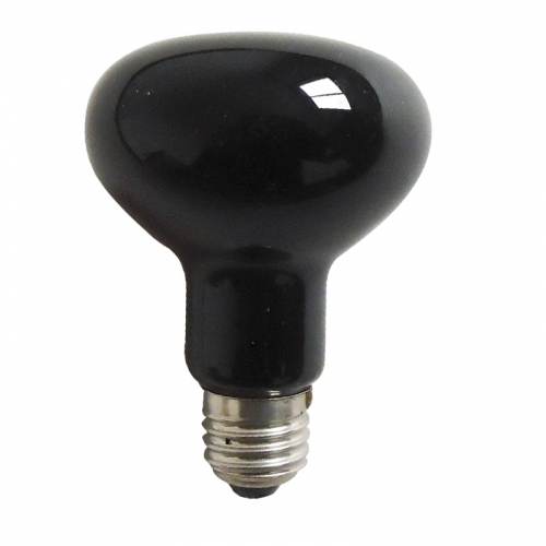 Black Light Bulb R80 R25