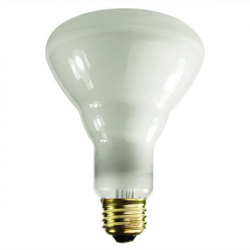 BR30 INCANDESCENT FLOOD LIGHT BULB