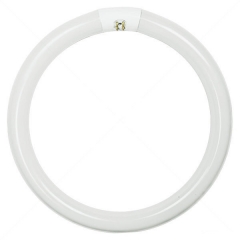 T9 Circular Fluorescent Tube  32W 40W