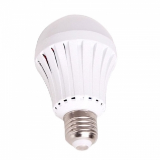 LED emergency bulb