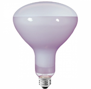 Neodymium bulb