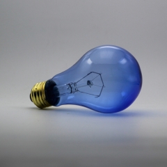 Reptile Daylight Blue Bulb A23 150W