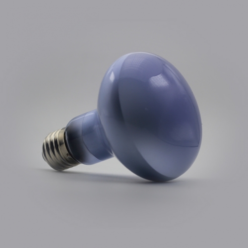 Reptile Daylight Neodymium Basking Lamp R25 / R80 100W