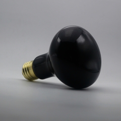 Reptile Moonlight Black Light Bulb R25 / R80 100W