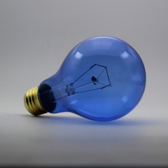 Reptile Daylight Blue Bulb A21 100W