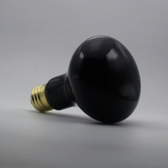 Reptile Moonlight Black Light Bulb R30 / R95 150W