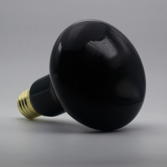 Reptile Moonlight Black Light Bulb R30 / R95 150W