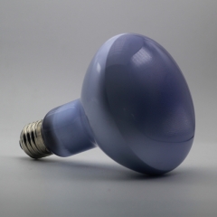 Reptile Daylight Neodymium Basking Lamp R25 / R80 100W