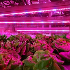 Full Spectrum T8 T5 Plant LED Grow Light Tube