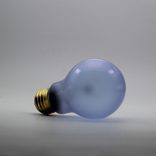 Reptile Neodymium Daylight Bulb A19 50W