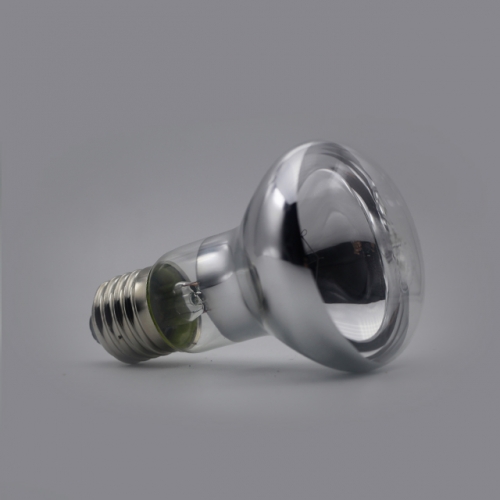 Reptile Basking Spot Bulb R20 R63 60W