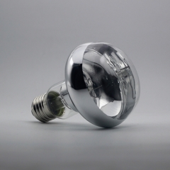 Reptile Basking Spot Bulb R25 R80 100W