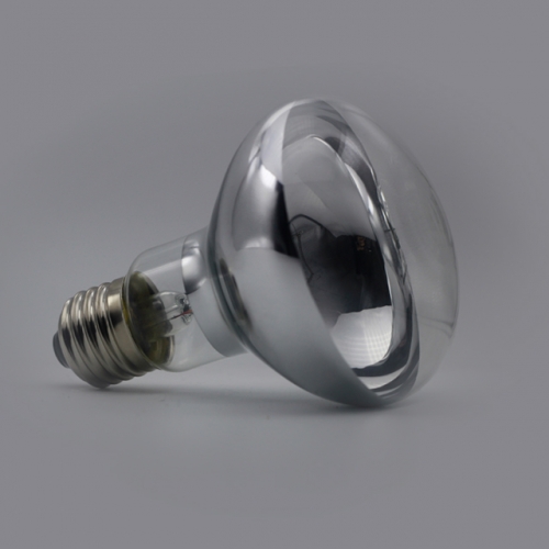 Reptile Basking Spot Bulb R25 R80 100W