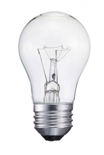 A55 Incandescent Bulb