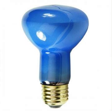 Blue Plant Light Bulb R40