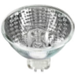 Halogen Golbe Bulb