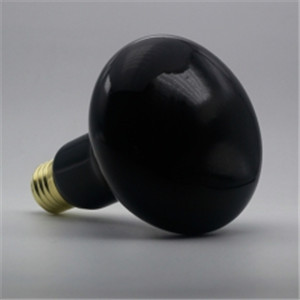 Reptile Moonlight Black Light Bulb