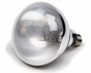 Self-Ballasted mercury vapor UVB bulb